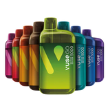 VUSE GO 5000 PUFF DISPOSABLE (Discontinued In BC)