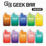 GEEK BAR B5000 PUFF DISPOSABLE